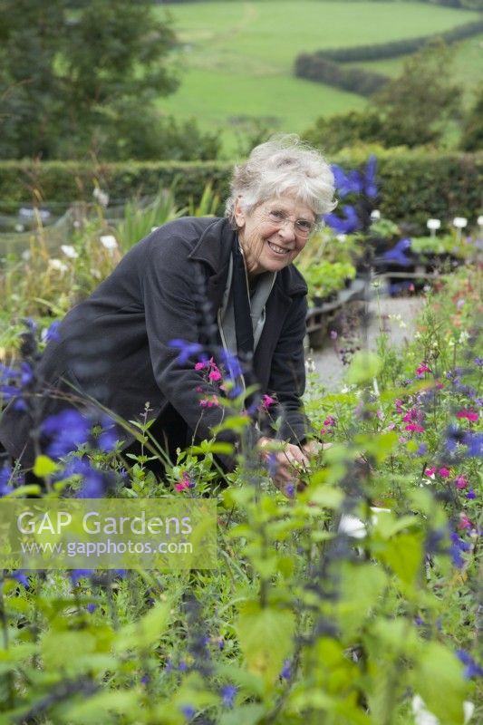 Derry Watkins at her Special Plants Nursery