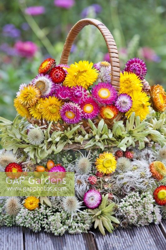 Floral arrangement of dried flowers and seedheads including strawflowers, sedum and teasel.