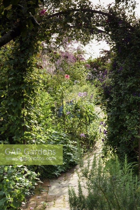 Path through a lush summer garden in Dorset
