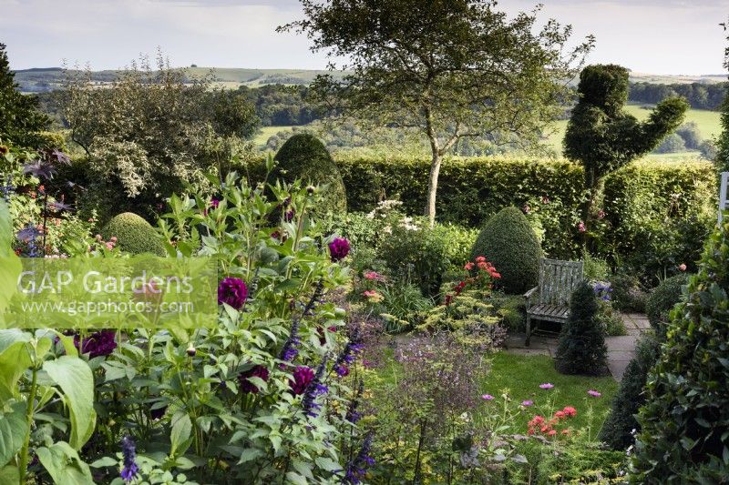 View down into a country garden framed by clipped evergreens in August