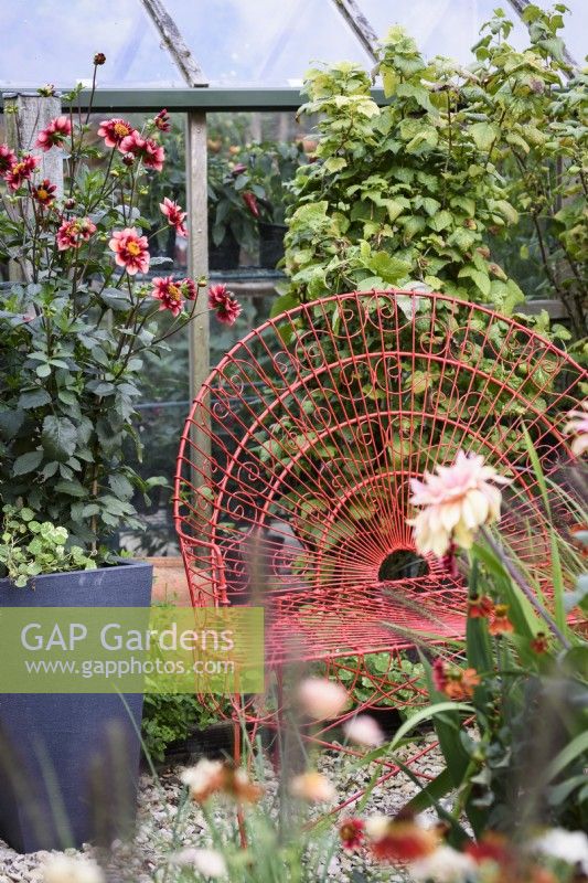 Red wire seat in a September garden