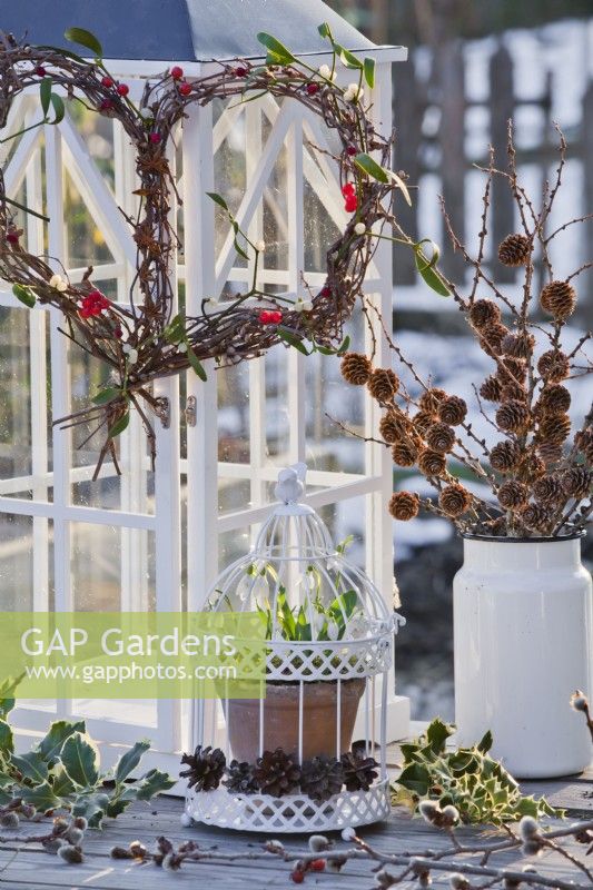 Winter display including bunch of larch branches with cones in milk churn, pot grown snowdrops within a bird cage and hanging heart shaped wreath.