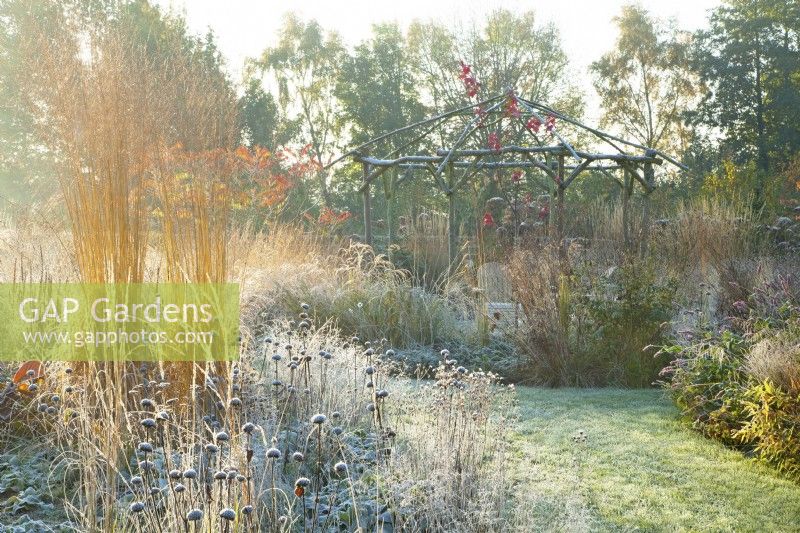 Rustic coppiced ash gazebo surrounded by sunlit ornamental grasses and perennials covered in frost.