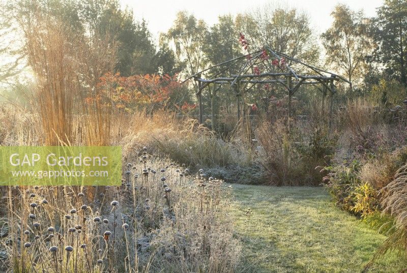 Rustic gazebo surrounded by sunlit ornamental grasses and perennials covered in frost.