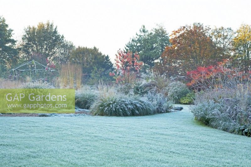 Frost covered lawn and grasses at Ellicar Gardens