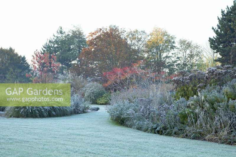 Frost covered lawn and perennial borders 