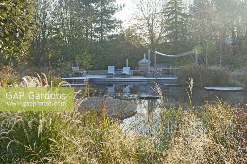 Natural swimming pool with seating area, surrounded by sunlit ornamental grasses