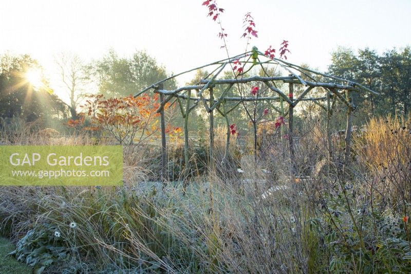 Wooden rustic gazebo surrounded by ornamental grasses in frost at sunrise
