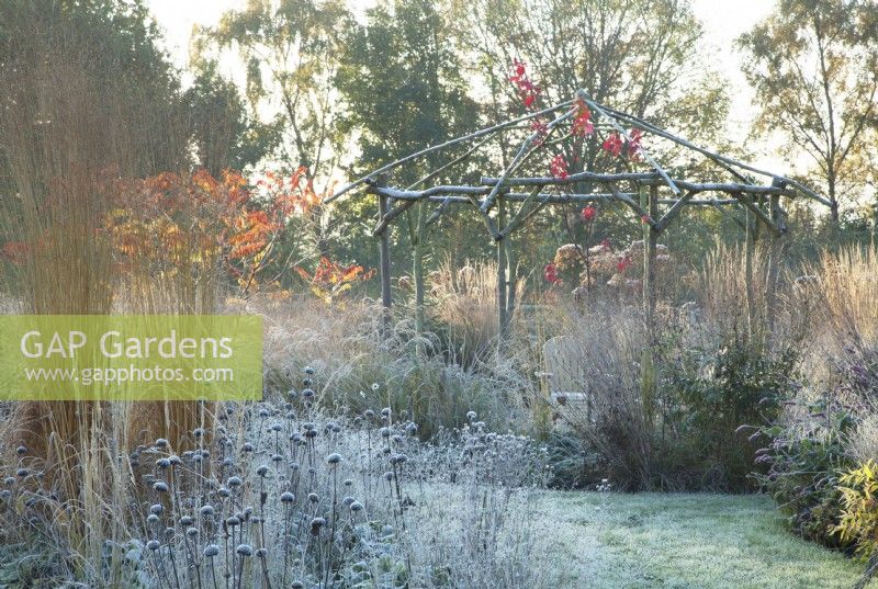 Rustic coppiced ash gazebo surrounded by ornamental grasses and perennials in frost
