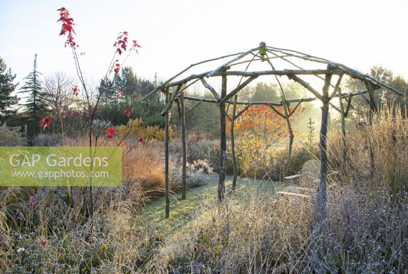 Sunlit wooden rustic gazebo surrounded by ornamental grasses and perennials in frost.