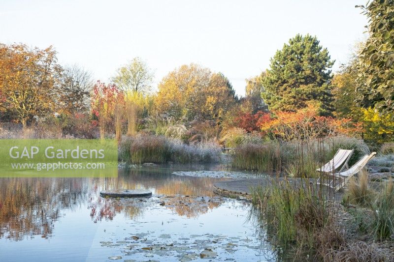 Natural swimming pool with millstone water feature, deckchairs and seating area surrounded by frosted ornamental grasses and trees.