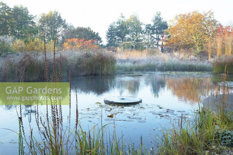 Millstone in a natural swimming pool surrounded by frost covered ornamental grasses and trees.
