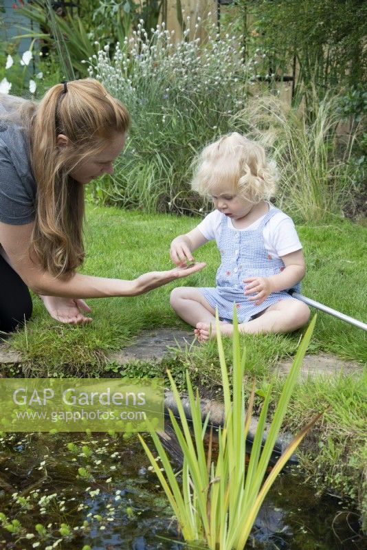 Young girl pond dipping and being shown a small frog by her mother