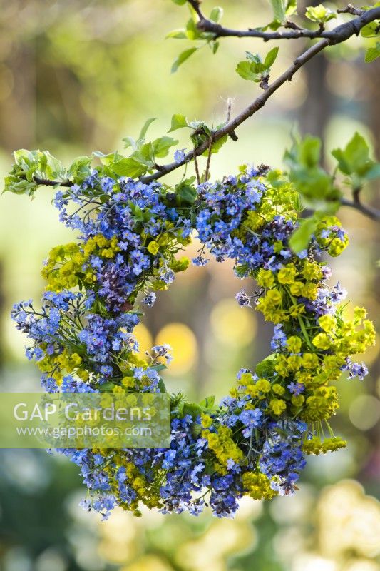 Wreath made of Myosotis and Euphorbia hanging from a tree.