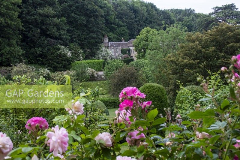 View over roses and across garden to the house at Moor Wood, Gloucestershire