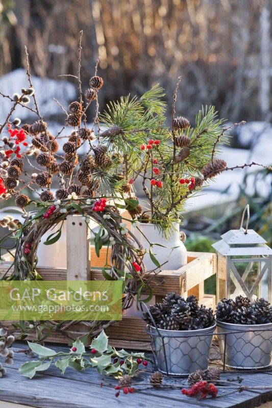 Winter display with wreath of mistletoe and guelder rose , pots with pine cones and bunches of pine, larch, pussy willow and guelder rose twigs in milk churns.