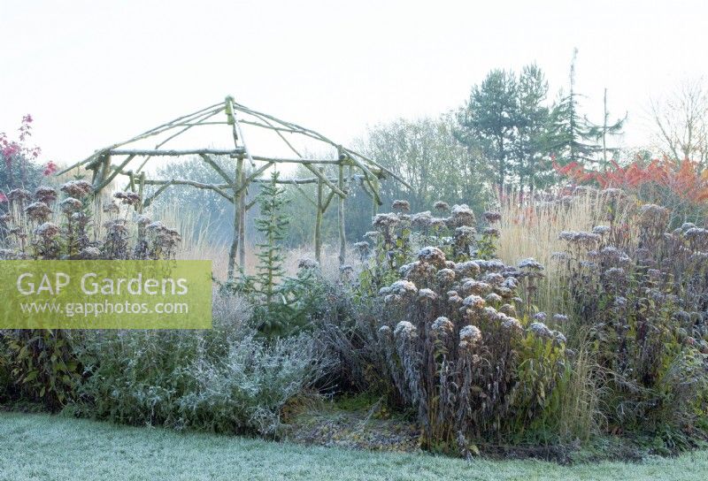 Frosted rustic, coppiced ash gazebo surrounded by perennial grasses and seedheads.