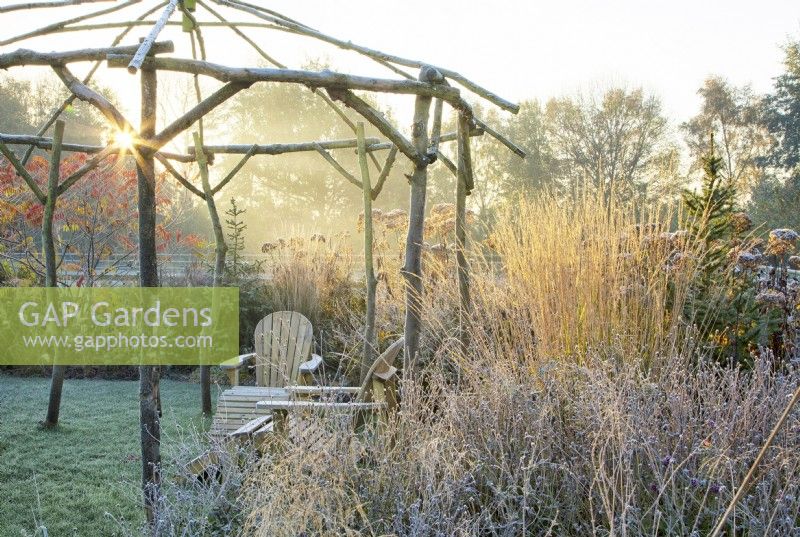 Frosted coppiced ash gazebo and wooden seats at sunrise surrounded by ornamental grasses.