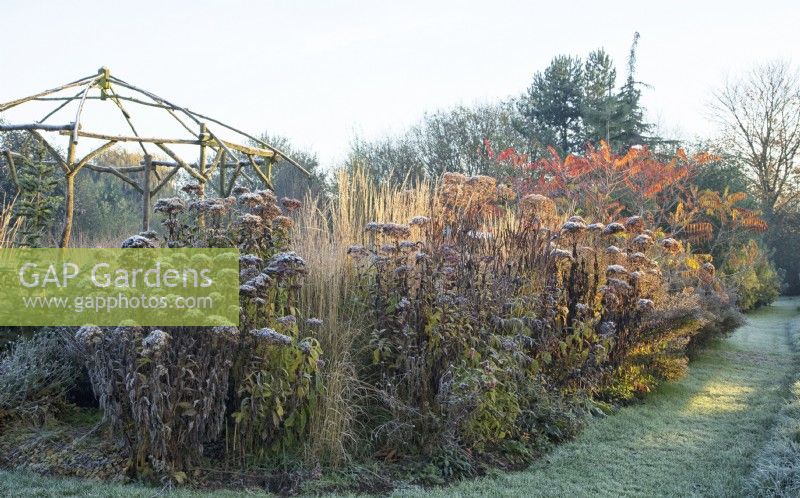 Frosted wooden rustic gazebo surrounded by decaying perennials and ornamental grasses in winter