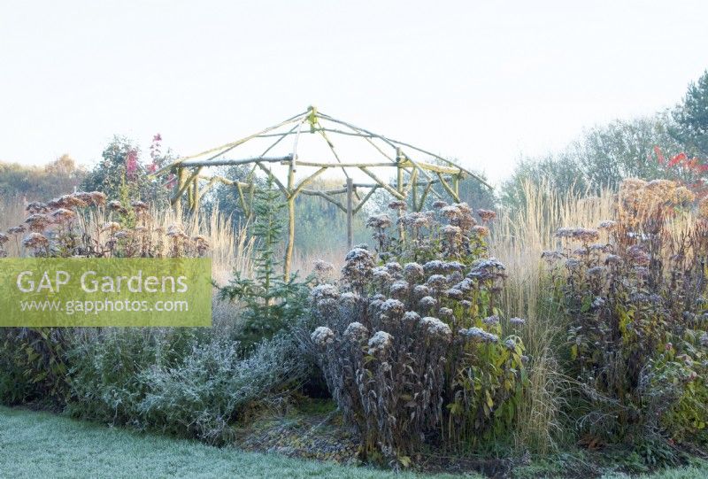 Rustic coppiced ash gazebo in frost surrounded by decaying Eupatorium maculatum 'Atropurpureum' and ornamental grasses.