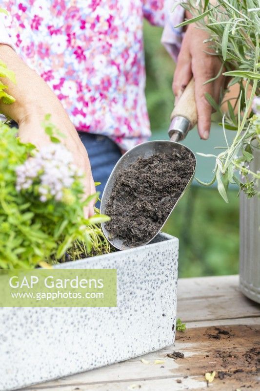 Woman backfilling small container with compost