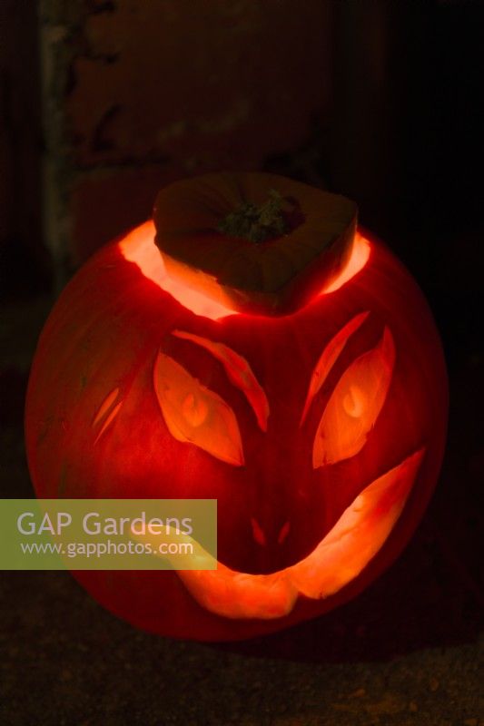 Halloween carved and decorated pumpkin lantern depicting a scary face.  October