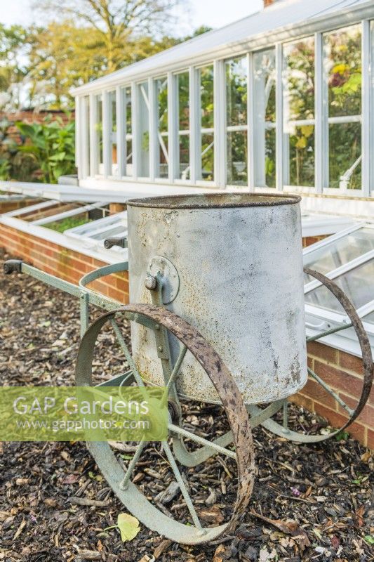 Antique water barrow, water carrier in front of victorian style greenhouse and cold frames. October.