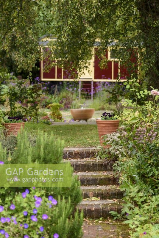 Steps leading up to a higher part of a country garden, flanked by pots of dark violas in September