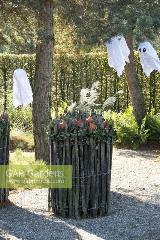 Decoration with orange pumpkins in rolled chestnut fence and flying halloween ghost decorations hanging in trees