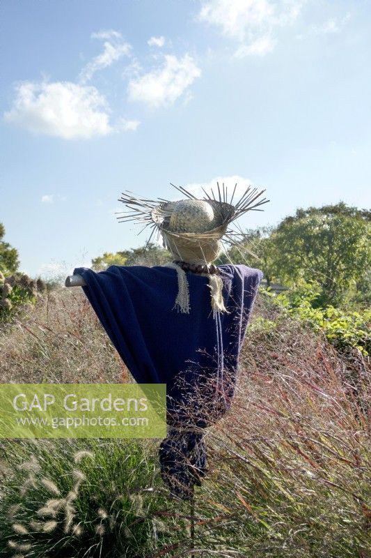 Friendly scarecrow with straw hat and purple blanket behind grasses.