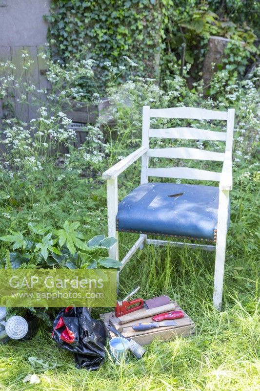 Old chair, Fatsia, Hostas, Ferns, compost, paint, paint brush, hammer, staple gun, sandpaper, stanley knife, scraper and watering can laid out on the ground