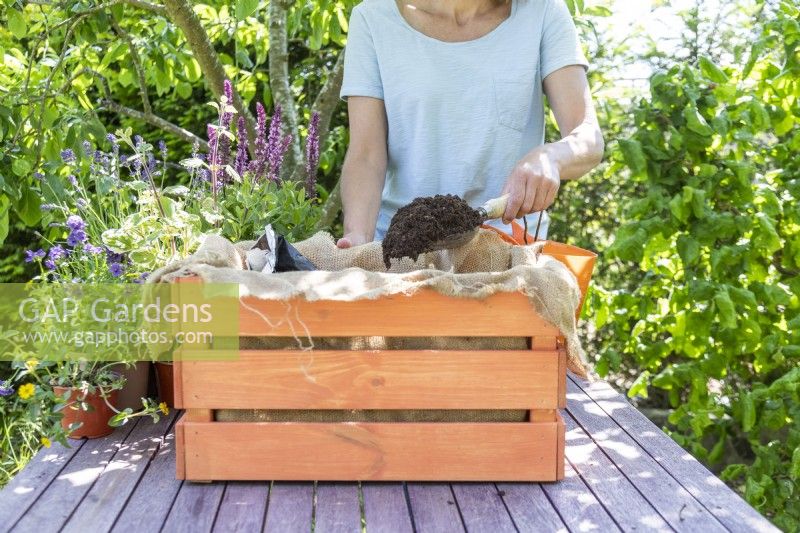 Woman filling wooden crate with compost