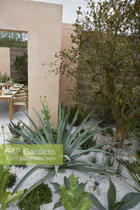 An outdoor dining area surrounded by Mediterranean plants in the Hamptons Mediterranean Garden, a sanctuary garden designed by Filippo Dester at the RHS Chelsea Flower Show 2023

