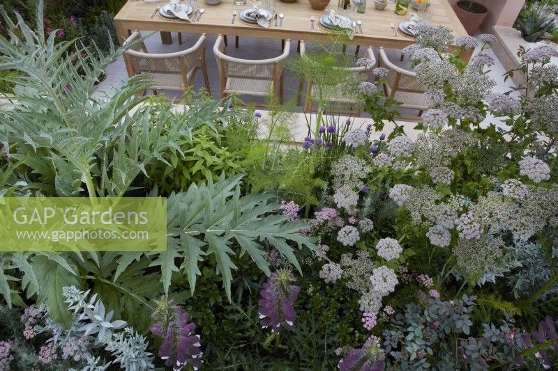 An outdoor dining area surrounded by Mediterranean plants in the Hamptons Mediterranean Garden, a sanctuary garden designed by Filippo Dester at the RHS Chelsea Flower Show 2023. Plants include Melanoselinum decipiens, Acanthus spinosus and Cardoon. Summer. 

