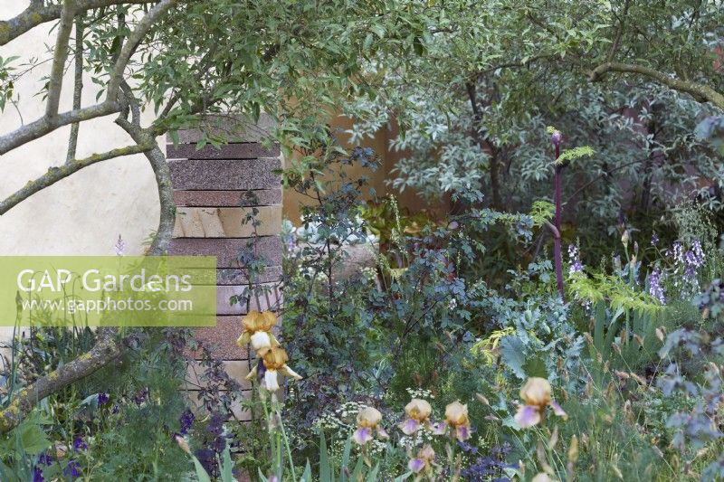 The Nurture Landscapes Garden. Designer: Sarah Price. A garden using low carbon materials. Naturalistic planting. Brick/stone feature. Summer. Chelsea Flower Show. Gold Medal.