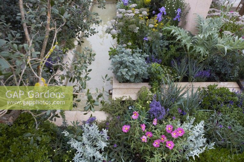 Hamptons Mediterranean Garden. Designer: by Filippos Dester.  RHS Chelsea Flower Show 2023. Water rill to seating area surrounded by mediterranean planting. Including Artemisia, Iris and Melanoselinum decipiens. Summer.