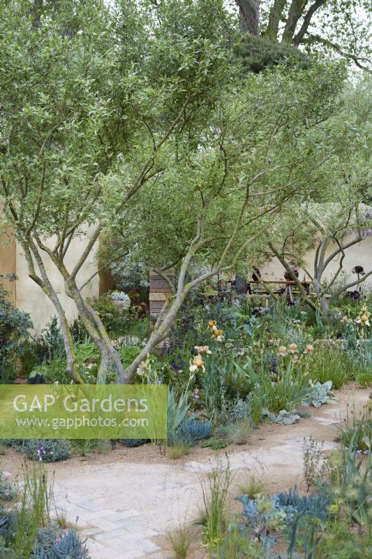 The Nurture Landscapes Garden. Designer: Sarah Price. A garden using low carbon materials. Chelsea Flower Show. Gold Medal. 