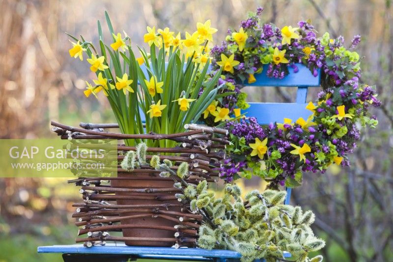 Spring arrangement with Narcissus 'Tete-a-Tete', pussy willow and  wreath of spring flowers.
