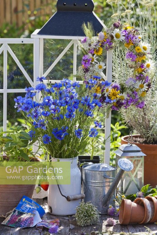 Outdoor early summer arrangement with garden tools, containers, wreath of wild flowers and  a bucket full of cut Centaurea cyanus in a milk churn.