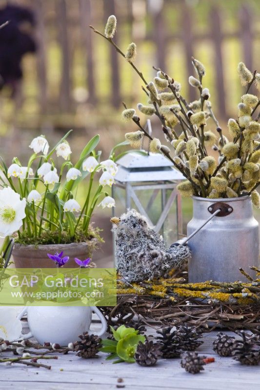 Early spring arrangement with a bird made of lichens and clematis seedheads, pussy wilow in a milk churn, Viola odorata and Leucojum aestivum.