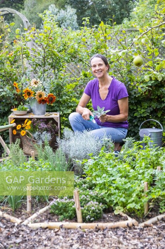 Woman picking sage and Curry plant from large herb wheel