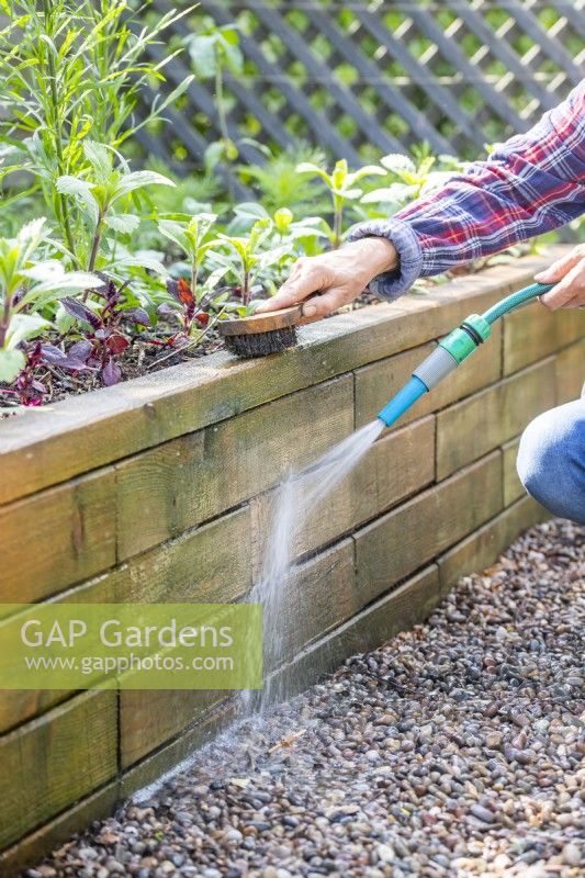 Woman cleaning raised bed using a hose and brush