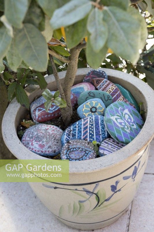 Painted stones made by children decorate a plant pot on a patio. May. 
