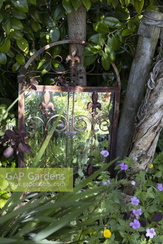 A rusted metal edged mirror nestled next to a small tree trunk amongst a variety of foliage. June. 
