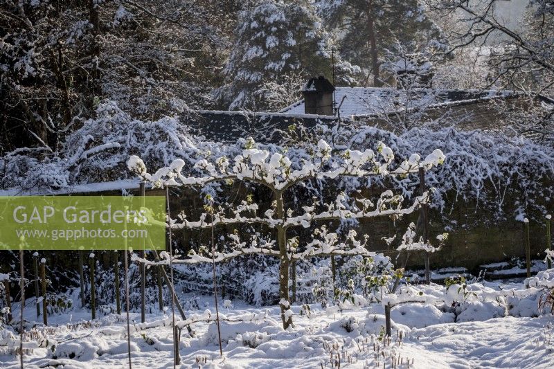 The garden at Gravetye Manor, Sussex, in winter. The walled kitchen garden covered in snow
