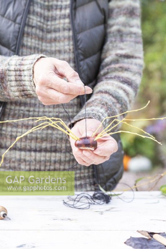 Woman holding up conker spider