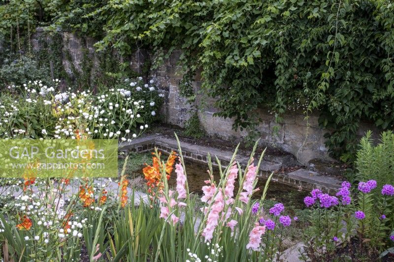 Small formal pond, surrounded with gladioli, phlox and other cutting plants