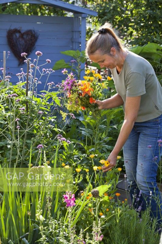 Woman picking pot marigold for bouquet of edible flowers.