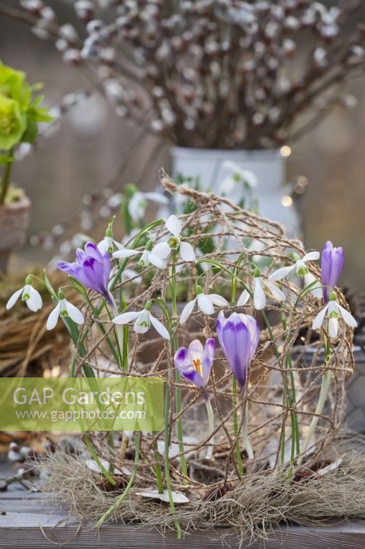String ball with snowdrops and crocus.