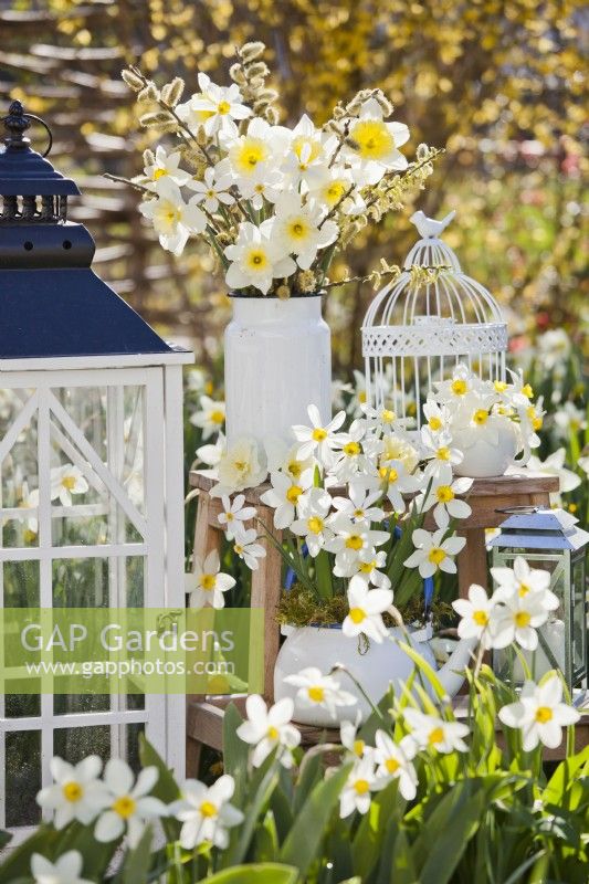 White themed arrangement with daffodils.